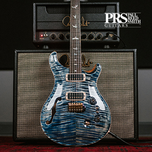 Providence Dual Bass Station DBS-1